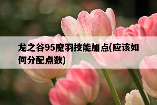龍之谷95魔羽技能加點，應該如何分配點數-圖1
