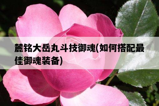 麓銘大岳丸斗技御魂，如何搭配最佳御魂裝備-圖1