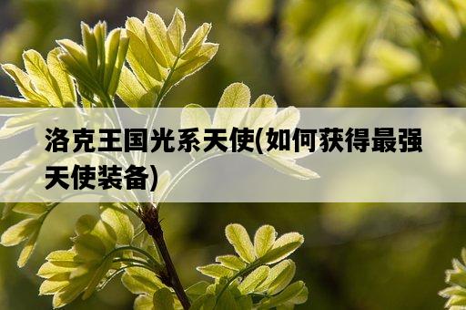 洛克王國光系天使，如何獲得最強天使裝備-圖1