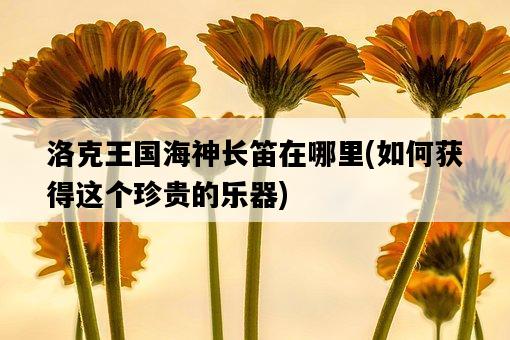 洛克王國海神長笛在哪里，如何獲得這個珍貴的樂器-圖1