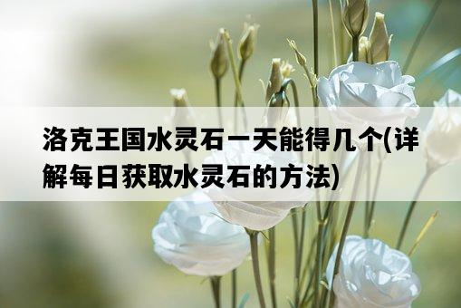 洛克王國水靈石一天能得幾個，詳解每日獲取水靈石的方法-圖1