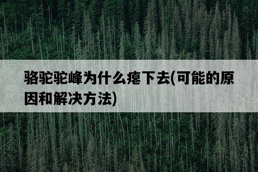 駱駝駝峰為什么癟下去，可能的原因和解決方法-圖1