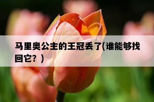 馬里奧公主的王冠丟了，誰能夠找回它？-圖1