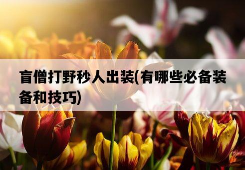 盲僧打野秒人出裝，有哪些必備裝備和技巧-圖1