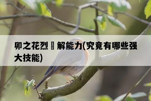 卯之花烈卍解能力，究竟有哪些強大技能-圖1