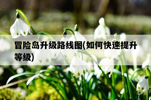 冒險島升級路線圖，如何快速提升等級-圖1