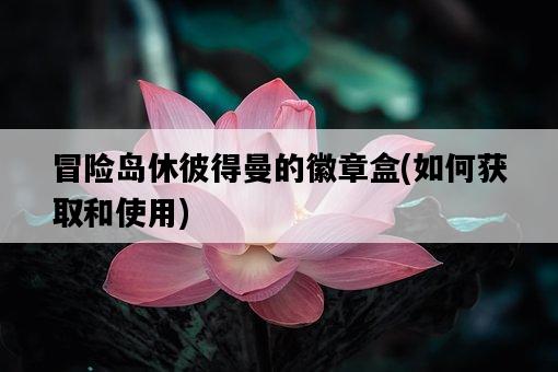 冒險島休彼得曼的徽章盒，如何獲取和使用-圖1