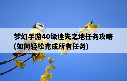 夢幻手游40級迷失之地任務攻略，如何輕松完成所有任務-圖1
