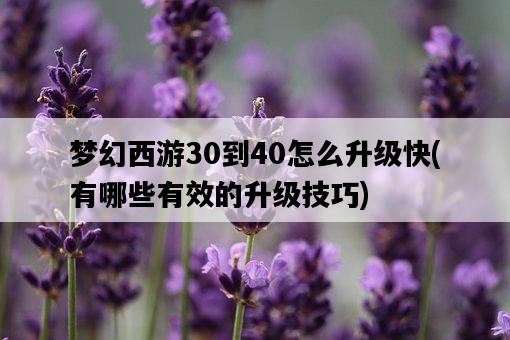 夢幻西游30到40怎么升級快，有哪些有效的升級技巧-圖1