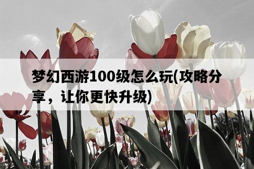 夢幻西游100級怎么玩，攻略分享，讓你更快升級-圖1