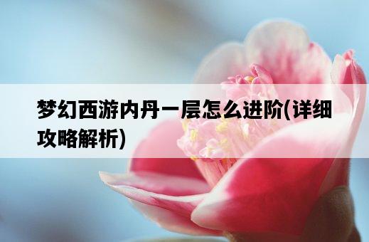 夢幻西游內丹一層怎么進階，詳細攻略解析-圖1