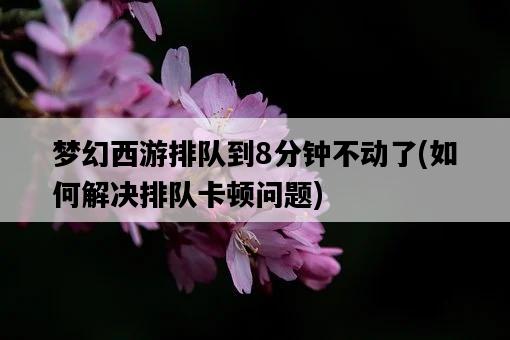夢幻西游排隊到8分鐘不動了，如何解決排隊卡頓問題-圖1