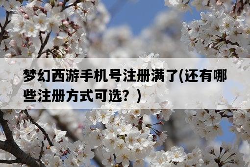 夢幻西游手機號注冊滿了，還有哪些注冊方式可選？-圖1