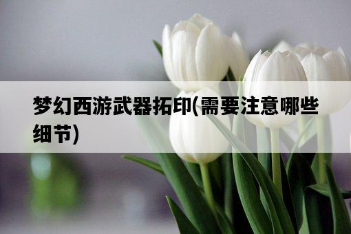 夢幻西游武器拓印,需要注意哪些細節-圖1 夢幻西游武器拓印,需要注意哪些細節-圖1