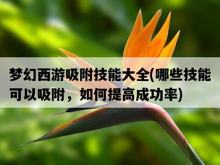 夢幻西游吸附技能大全，哪些技能可以吸附，如何提高成功率-圖1