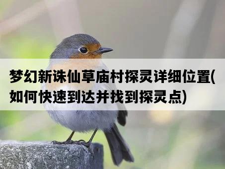 夢幻新誅仙草廟村探靈詳細位置，如何快速到達并找到探靈點-圖1