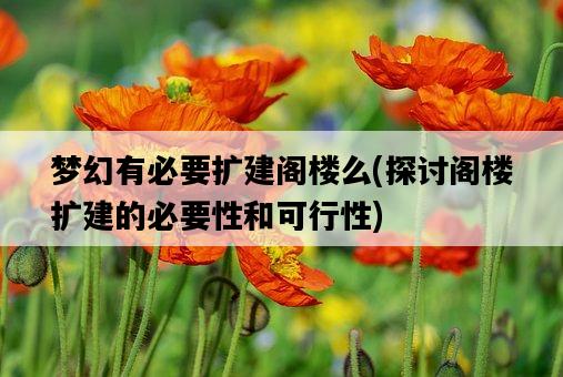 夢幻有必要擴建閣樓么，探討閣樓擴建的必要性和可行性-圖1
