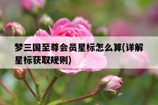 夢三國至尊會員星標怎么算，詳解星標獲取規則-圖1