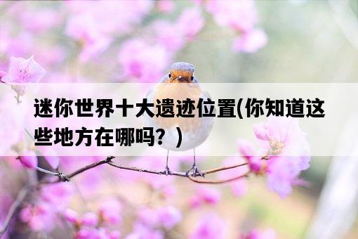 迷你世界十大遺跡位置，你知道這些地方在哪嗎？-圖1