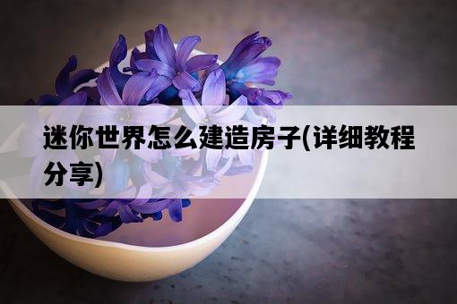 迷你世界怎么建造房子，詳細教程分享-圖1