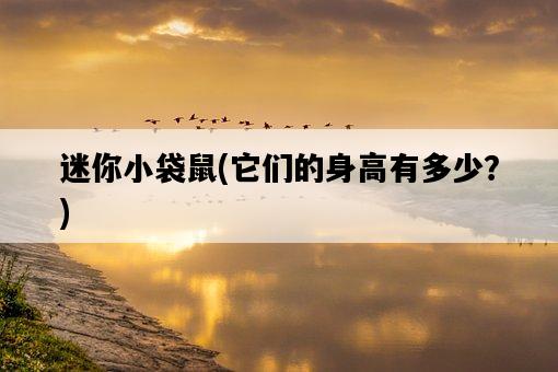 迷你小袋鼠，它們的身高有多少？-圖1