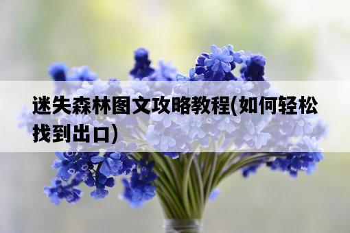 迷失森林圖文攻略教程,如何輕松找到出口-圖1 迷失森林圖文攻略教程,如何輕松找到出口-圖1