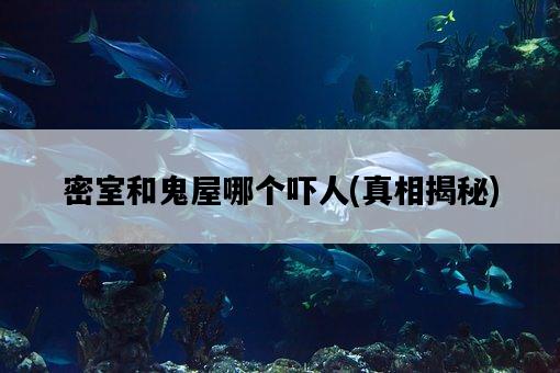 密室和鬼屋哪個嚇人，真相揭秘-圖1