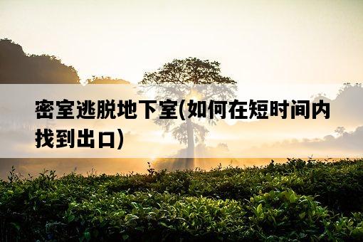 密室逃脫地下室，如何在短時間內找到出口-圖1