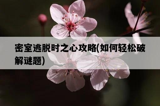 密室逃脫時之心攻略，如何輕松破解謎題-圖1