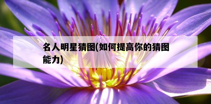 名人明星猜圖，如何提高你的猜圖能力-圖1