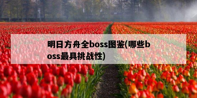 明日方舟全boss圖鑒，哪些boss最具挑戰性-圖1