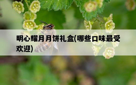 明心耀月月餅禮盒，哪些口味最受歡迎-圖1