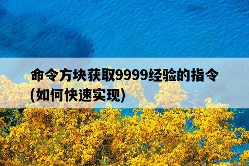 命令方塊獲取9999經驗的指令，如何快速實現-圖1