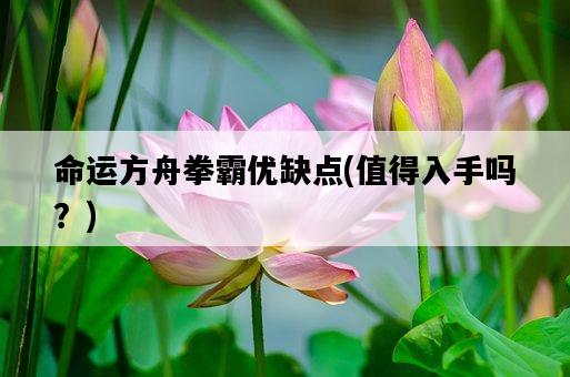 命運方舟拳霸優缺點，值得入手嗎？-圖1
