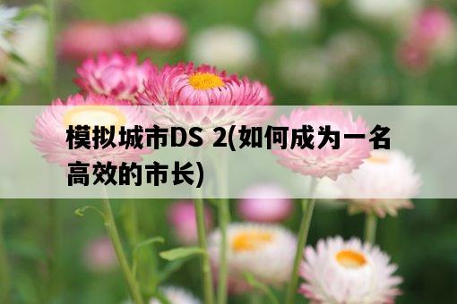 模擬城市DS 2，如何成為一名高效的市長-圖1