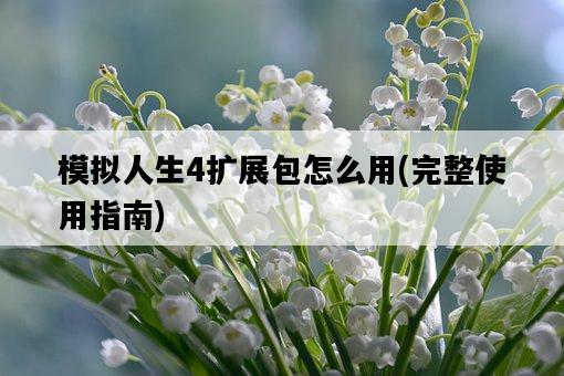 模擬人生4擴展包怎么用，完整使用指南-圖1