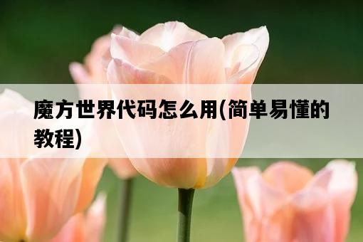 魔方世界代碼怎么用，簡單易懂的教程-圖1