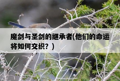 魔劍與圣劍的繼承者，他們的命運將如何交織？-圖1
