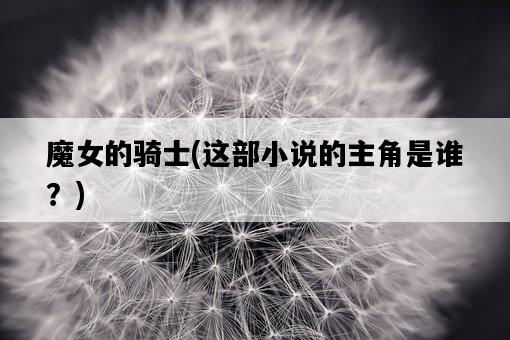 魔女的騎士，這部小說的主角是誰？-圖1