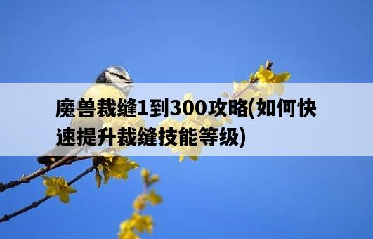 魔獸裁縫1到300攻略，如何快速提升裁縫技能等級-圖1