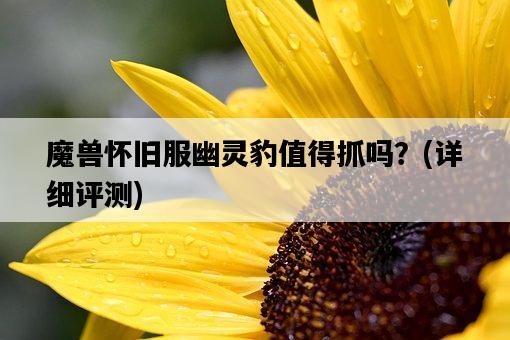魔獸懷舊服幽靈豹值得抓嗎？，詳細評測-圖1
