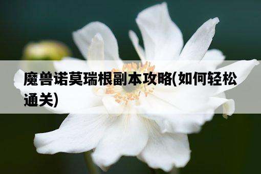 魔獸諾莫瑞根副本攻略，如何輕松通關-圖1