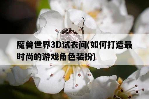 魔獸世界3D試衣間，如何打造最時尚的游戲角色裝扮-圖1