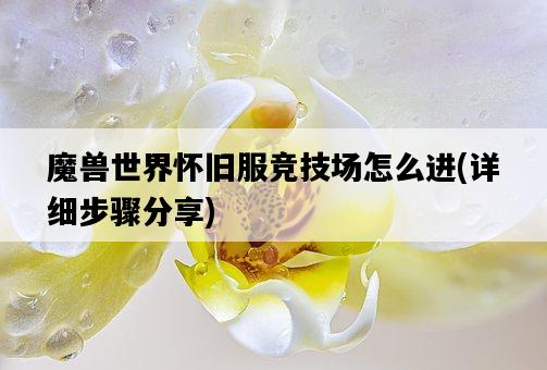 魔獸世界懷舊服競技場怎么進，詳細步驟分享-圖1