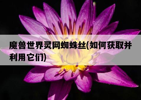 魔獸世界靈網蜘蛛絲，如何獲取并利用它們-圖1
