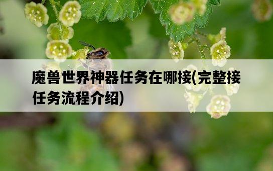魔獸世界神器任務在哪接，完整接任務流程介紹-圖1