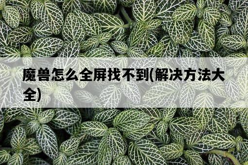 魔獸怎么全屏找不到，解決方法大全-圖1