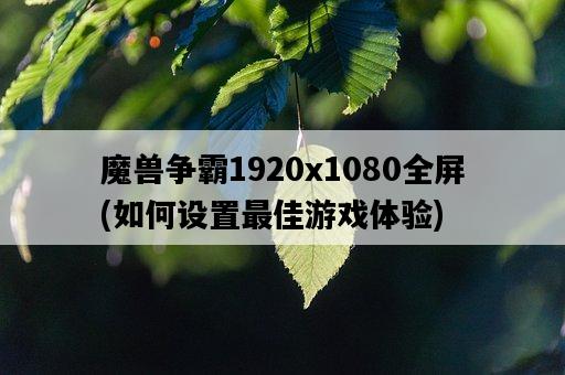 魔獸爭霸1920x1080全屏，如何設置最佳游戲體驗-圖1