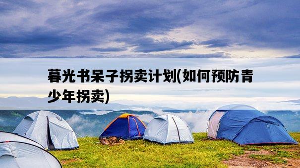 暮光書呆子拐賣計劃，如何預防青少年拐賣-圖1