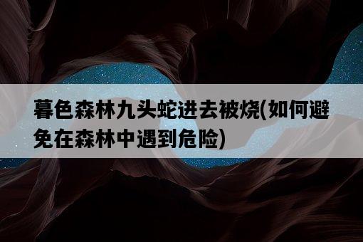 暮色森林九頭蛇進去被燒，如何避免在森林中遇到危險-圖1